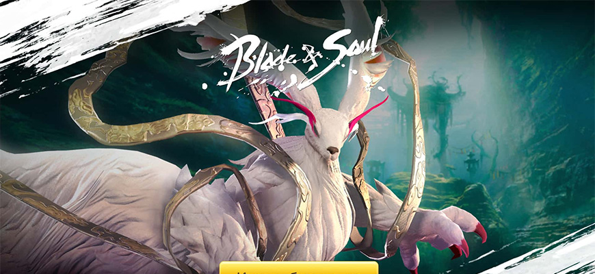 Blade and Soul - обзор, отзывы